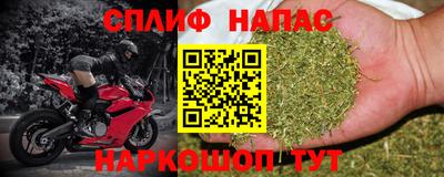твердый Гусев