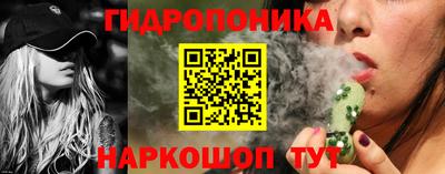 a pvp Гусь-Хрустальный