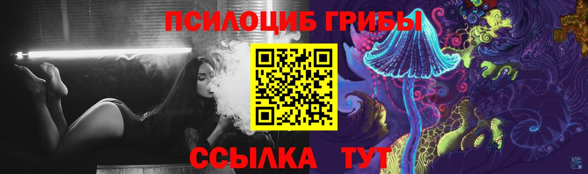 Галлюциногенные грибы Psilocybine cubensis Зеленокумск